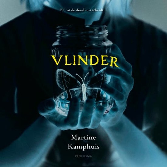 Vlinder