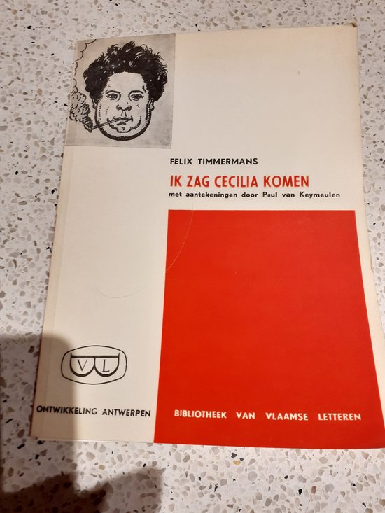 Ik zag cecilia komen