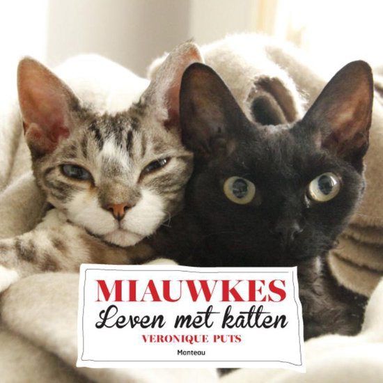 Miauwkes