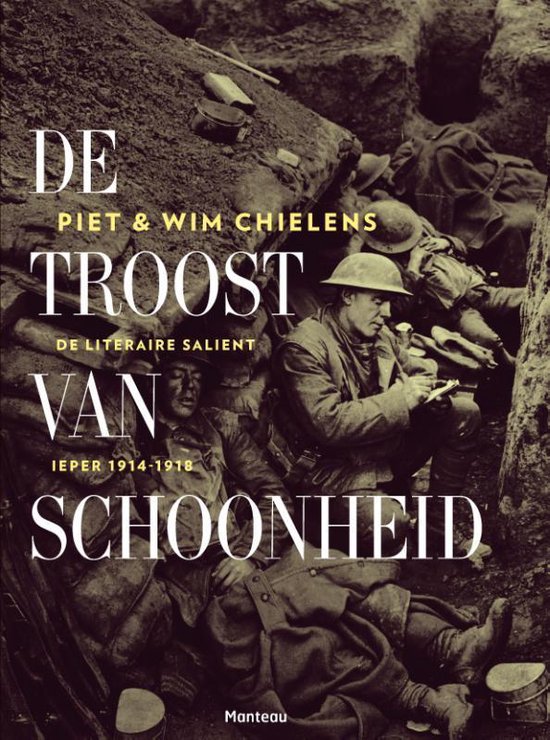 De troost van schoonheid