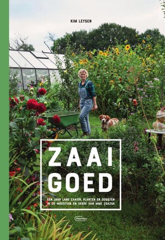 Zaaigoed