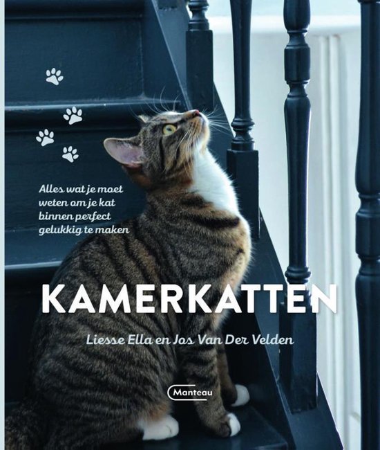 Kamerkatten