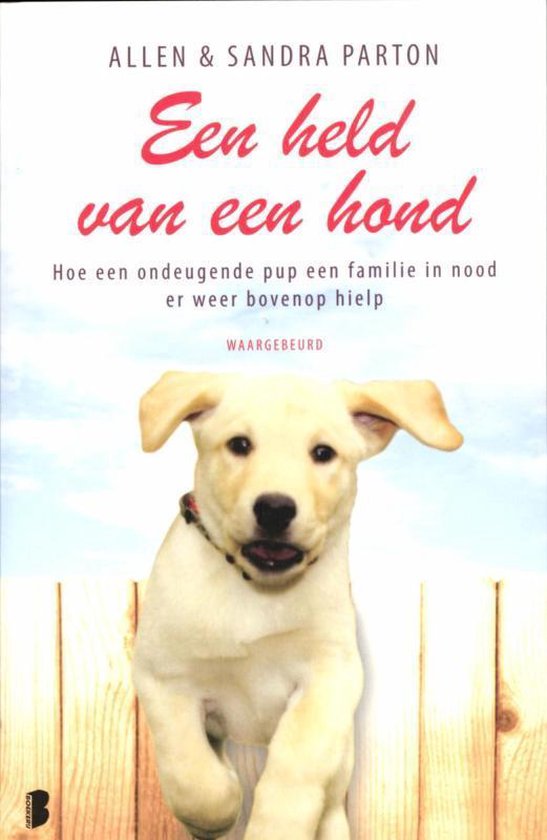 Een held van een hond