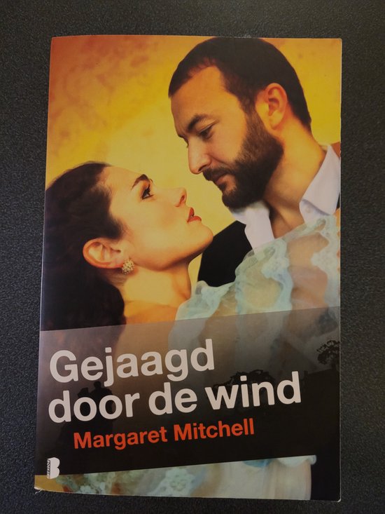 Gejaagd door de wind