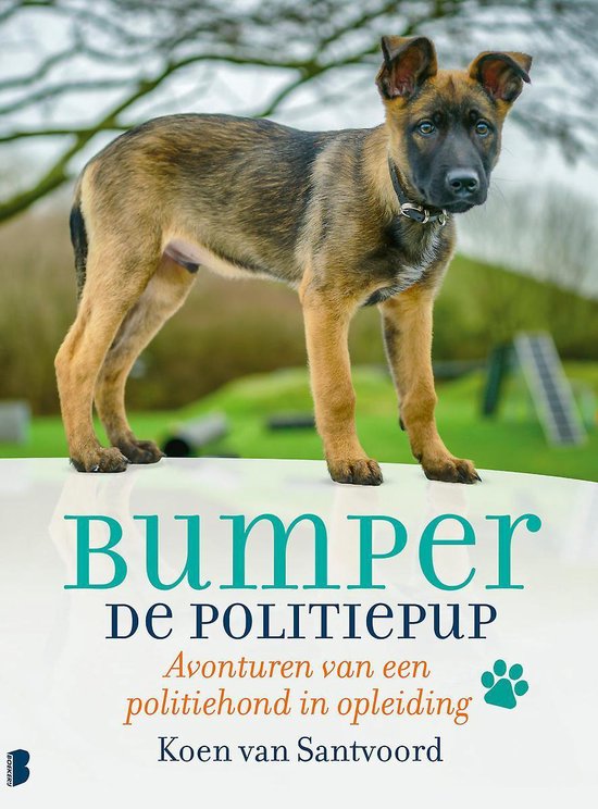 Bumper de politiepup