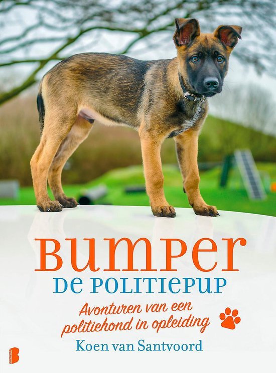 Bumper de politiepup