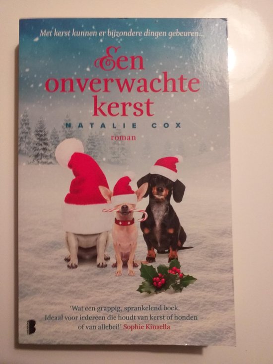 Een onverwachte kerst