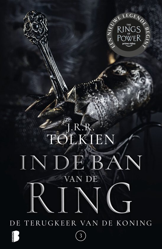 In de ban van de ring 3 - De terugkeer van de koning