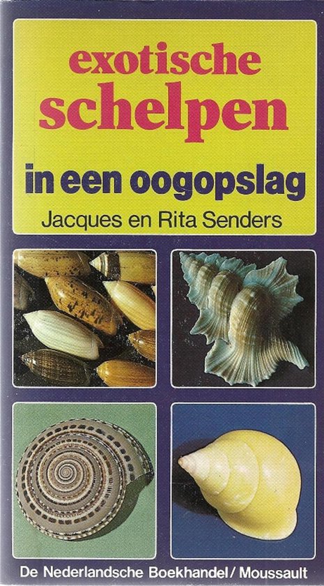 Exotische schelpen in een oogopslag