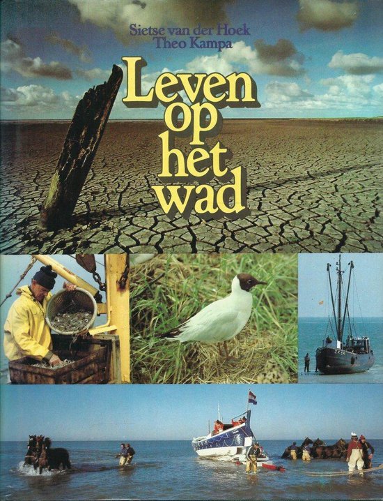 Leven op het wad