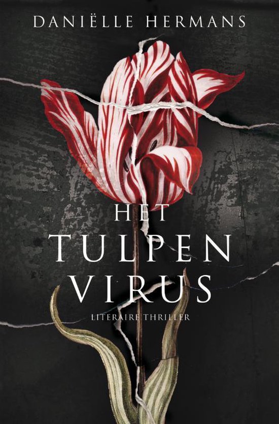 Het Tulpenvirus