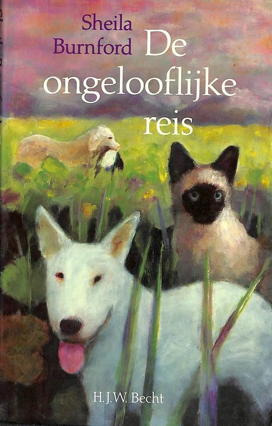 De ongelooflijke reis