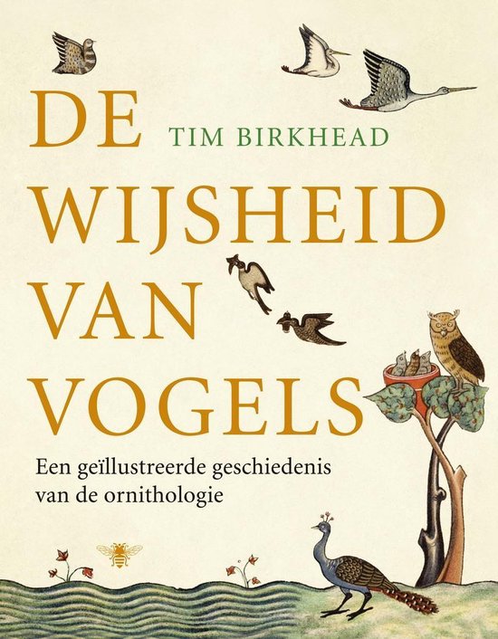 De Wijsheid Van Vogels