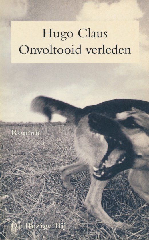 Onvoltooid verleden