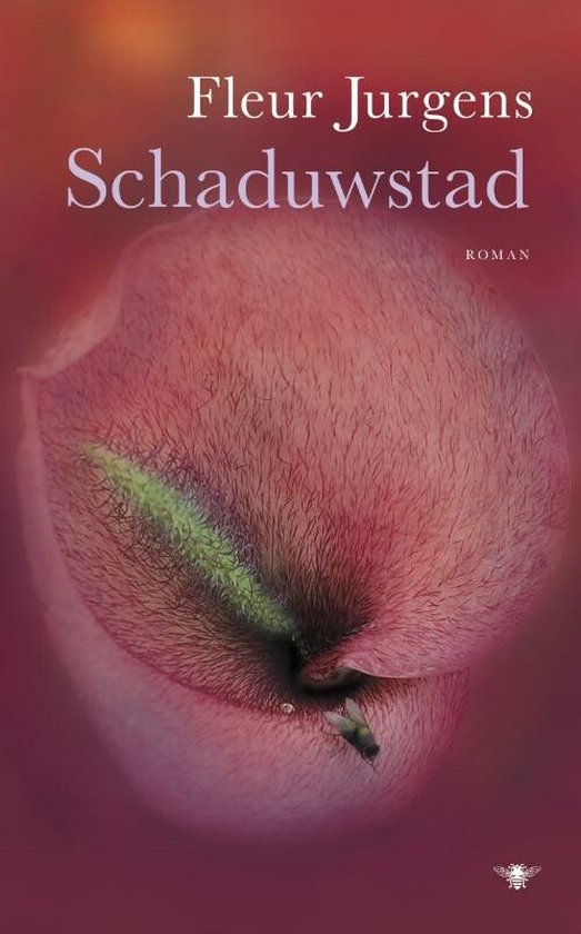 Schaduwstad