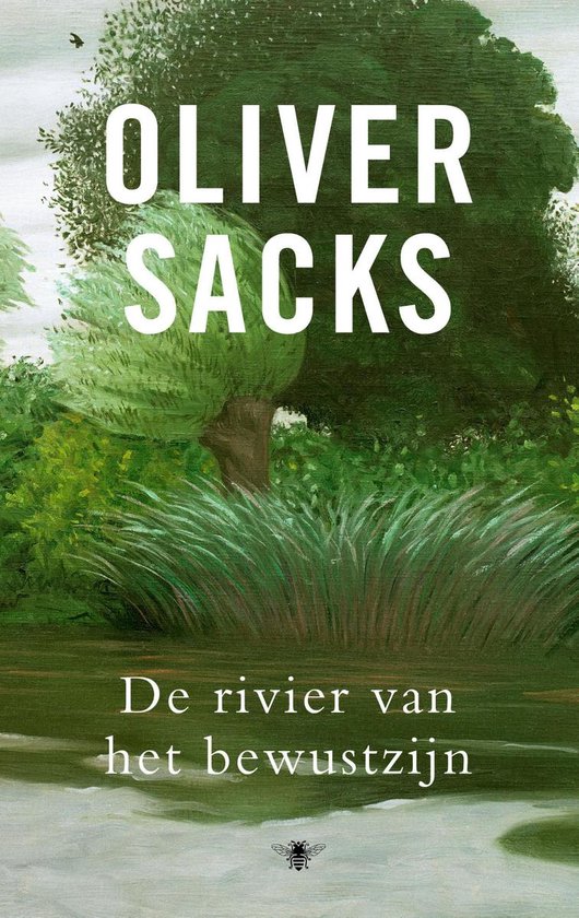 De rivier van het bewustzijn