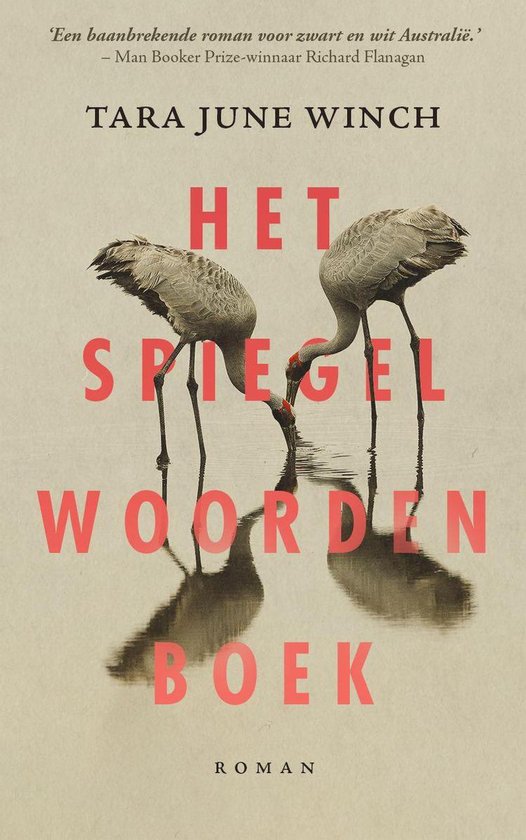 Het spiegelwoordenboek