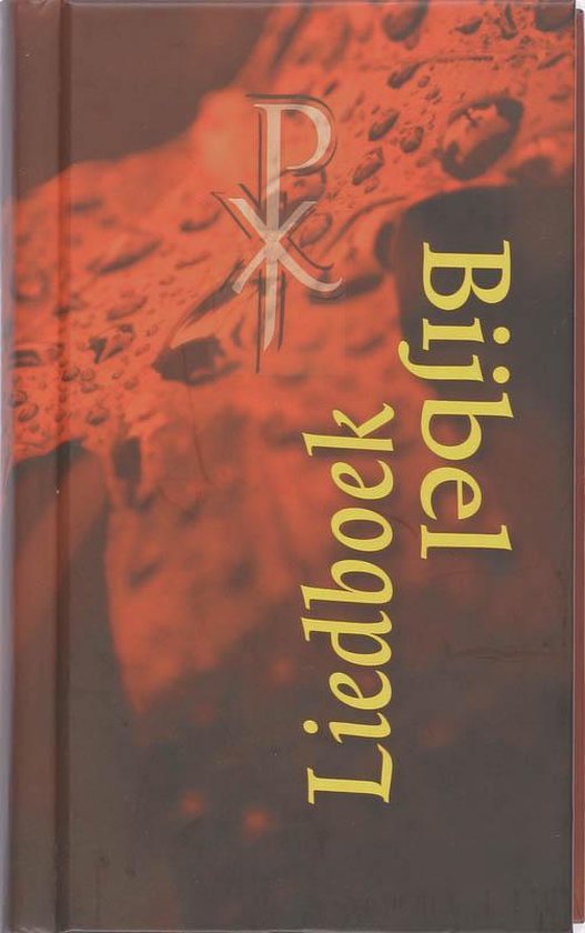 Bijbelliedboek Youth