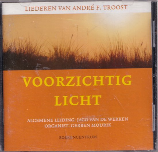 Voorzichtig Licht