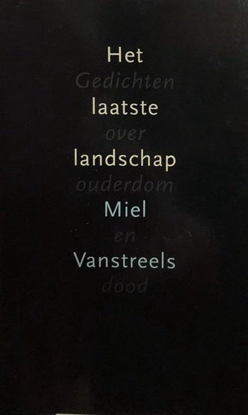 Het laatste landschap