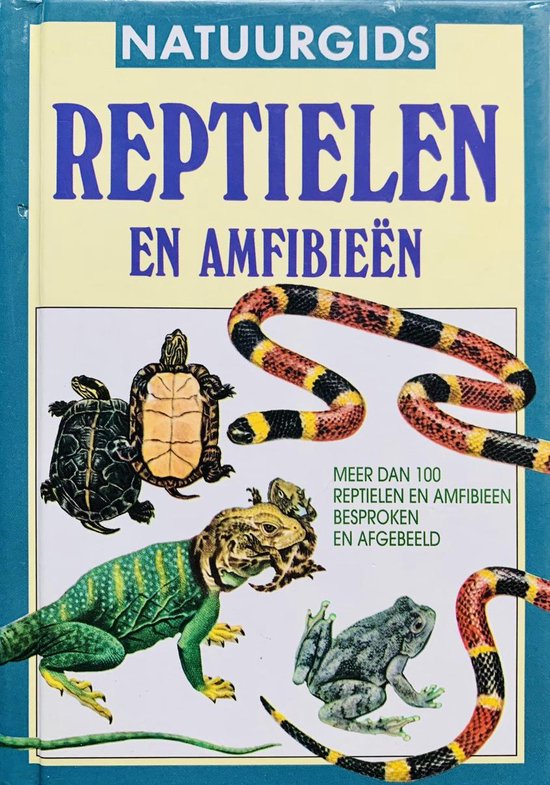 reptielen en amfibieen