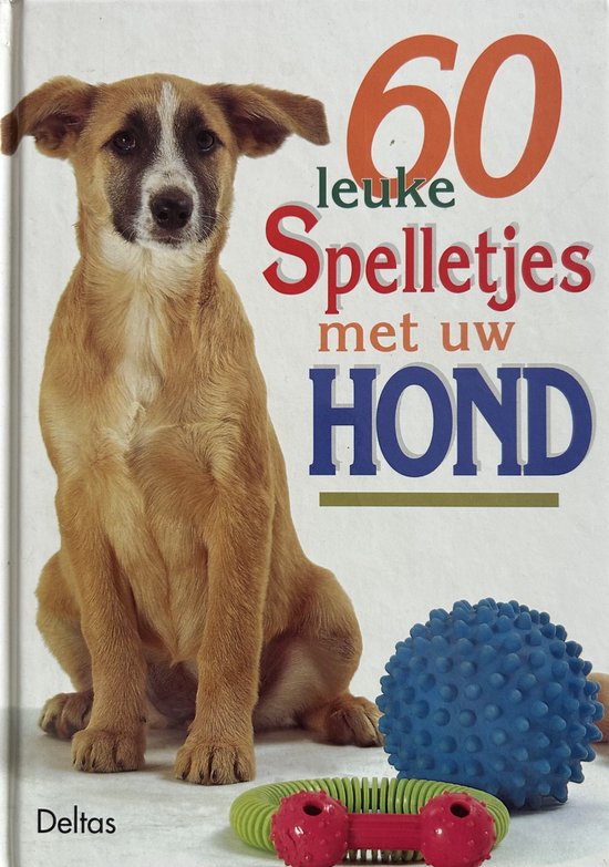 60 Leuke Spelletjes Met Uw Hond