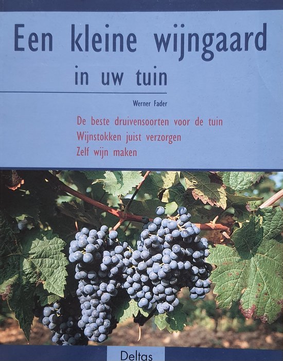 Kleine Wijngaard In Uw Tuin