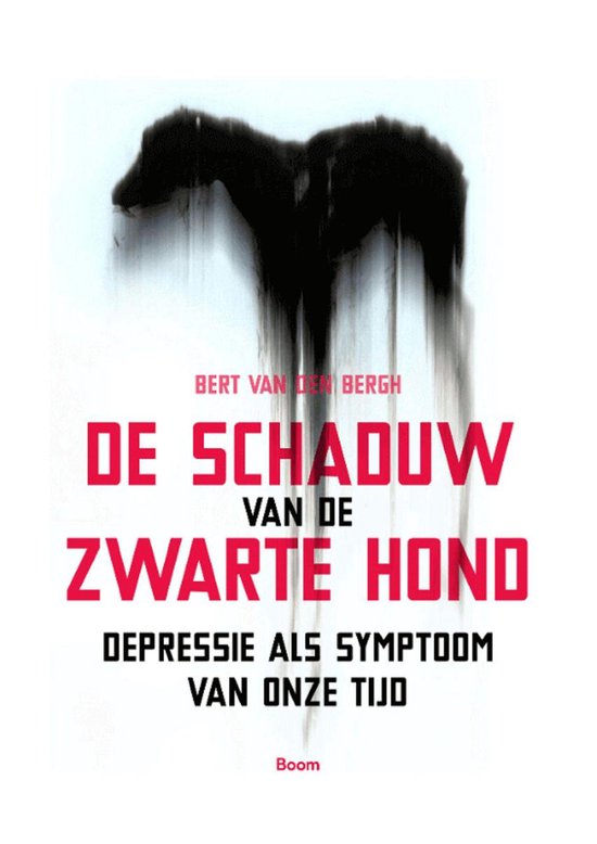 De schaduw van de zwarte hond