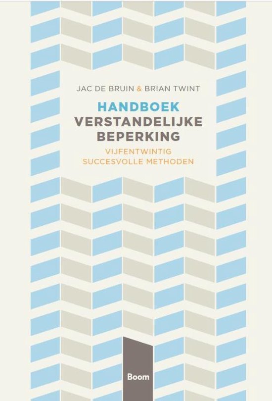 Handboek verstandelijke beperking