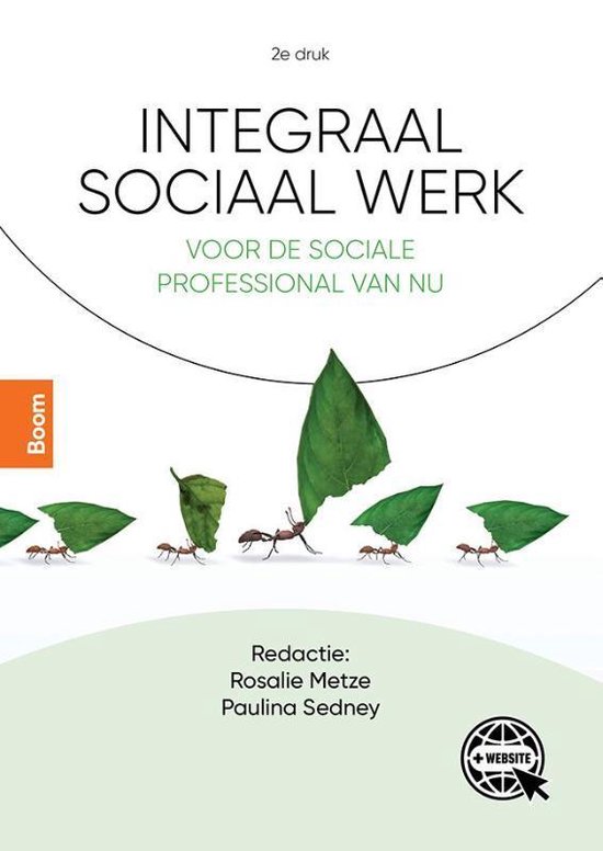 Integraal sociaal werk