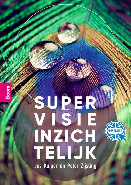 Supervisie inzichtelijk