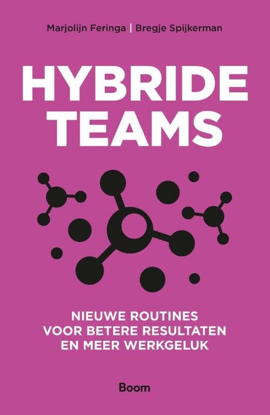 Hybride teams