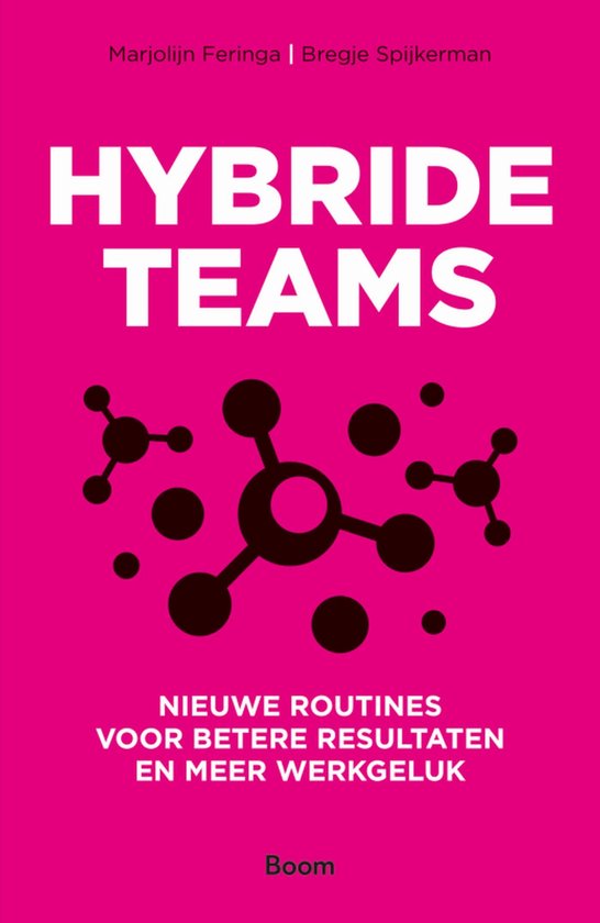 Hybride teams