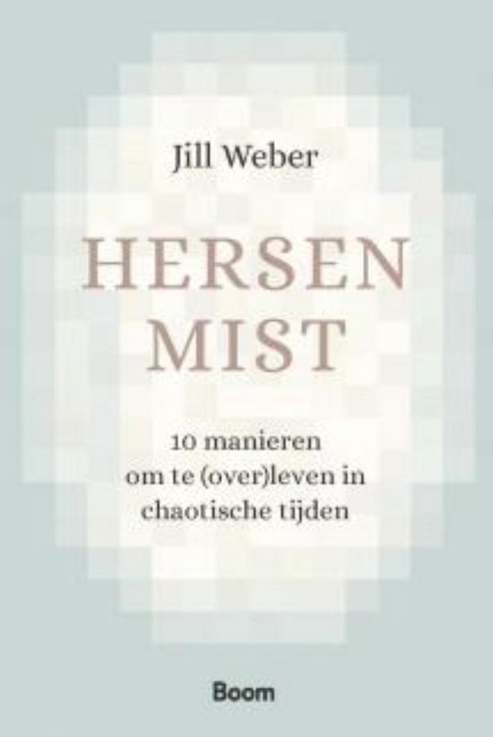 Hersenmist