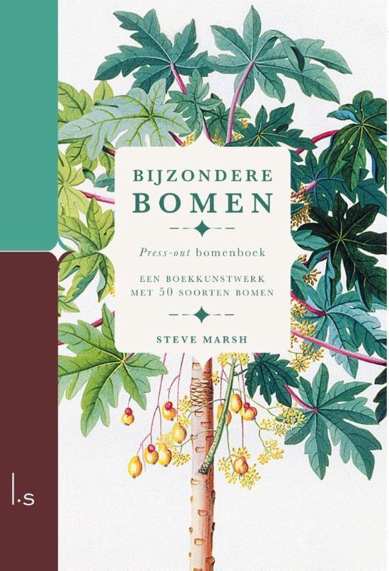 Bijzondere Bomen