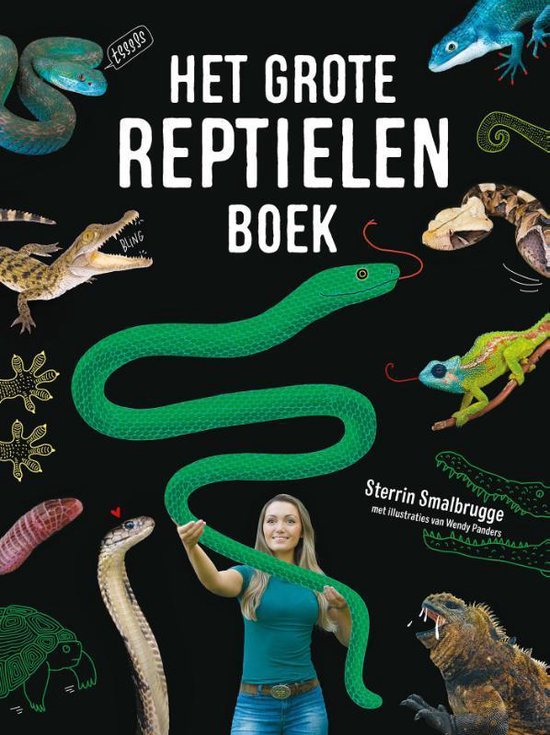 Het grote reptielenboek