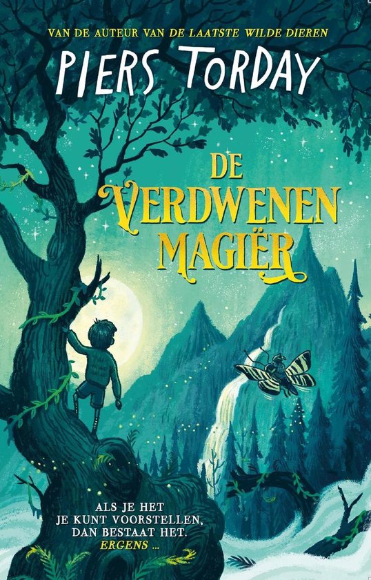 De verdwenen magiër