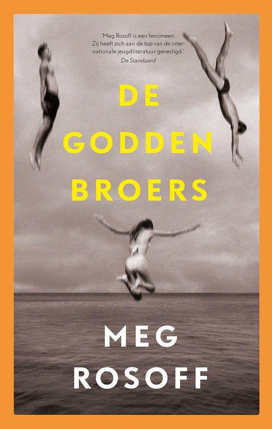 Zomerdrieluik 1 - De Godden broers