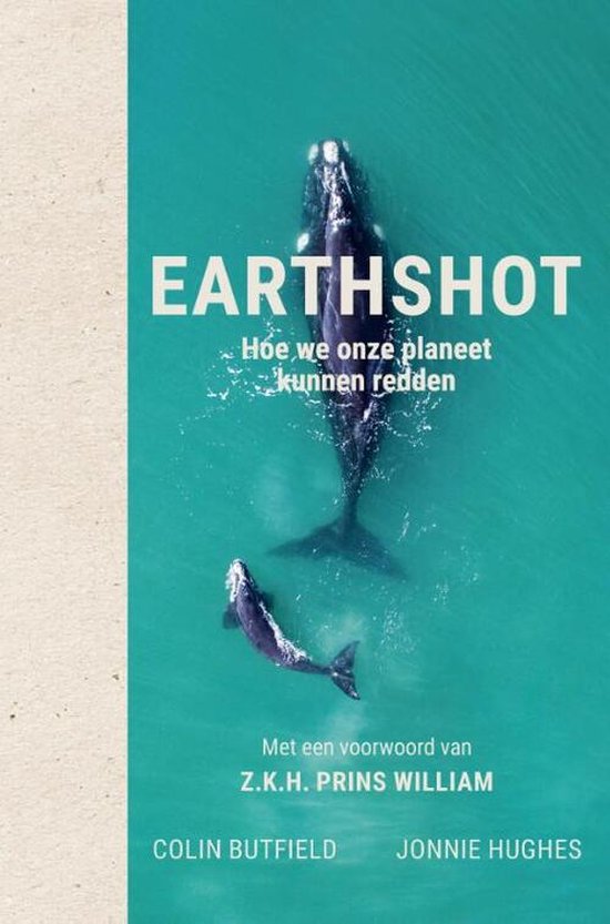 Earthshot