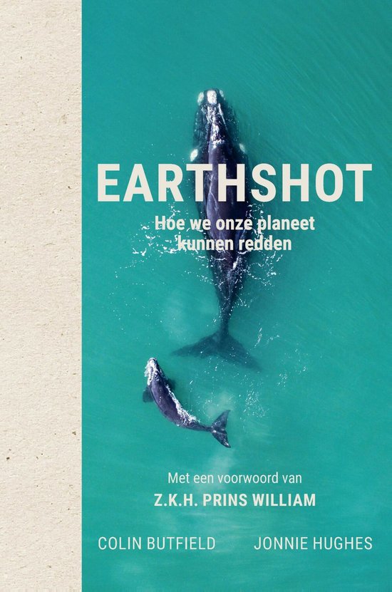 Earthshot