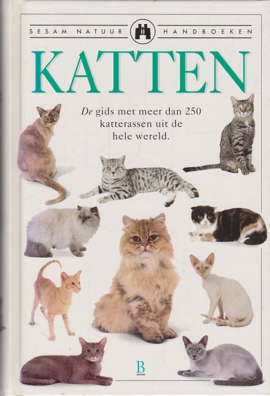 Katten