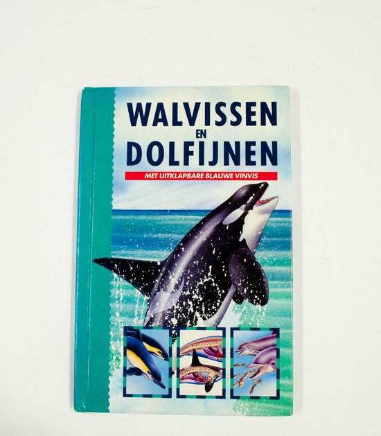 Walvissen en dolfijnen