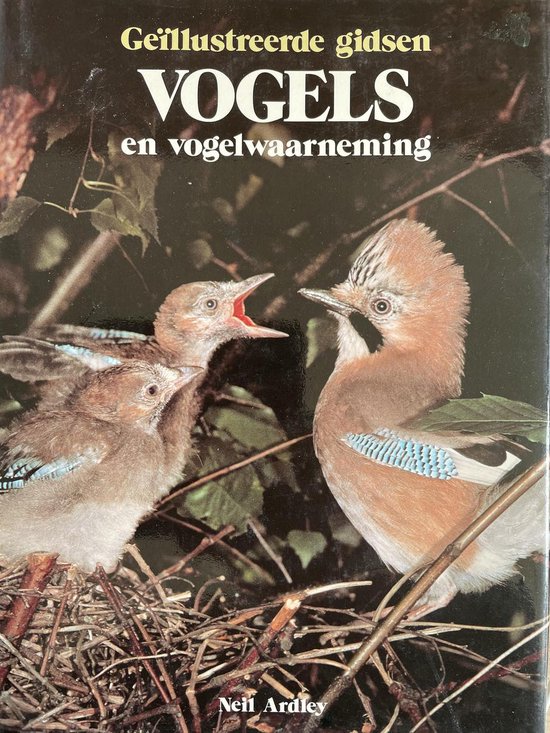 Vogels en vogelwaarneming