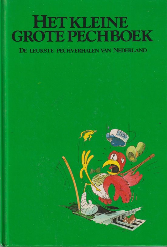 Het kleine grote pechboek