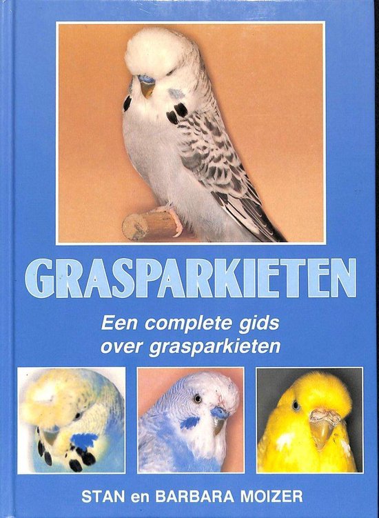 Grasparkieten