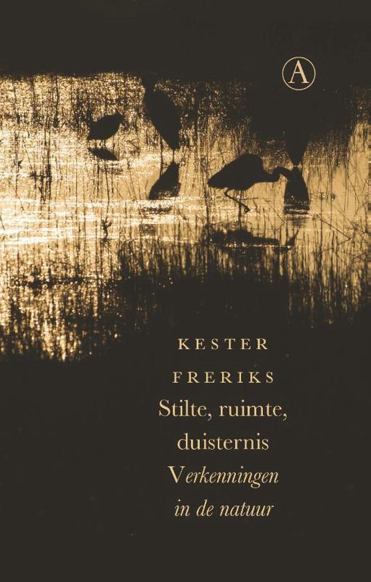 Stilte, ruimte, duisternis