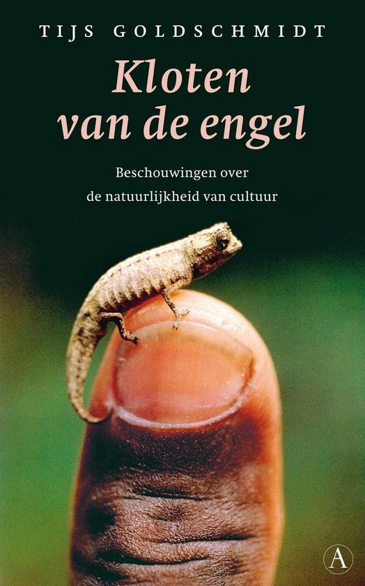 Kloten van de engel