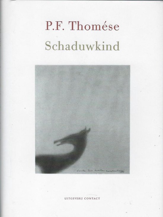 Schaduwkind