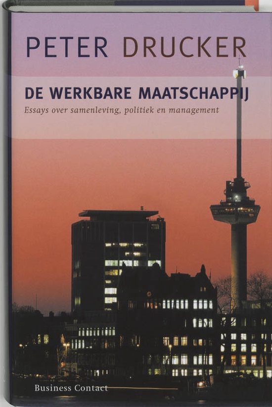 De Werkbare Maatschappij