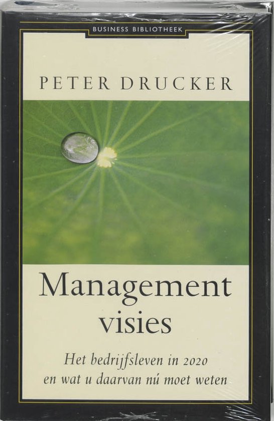 Management Visies